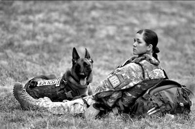 美國(guó)空軍性丑聞牽出多人 美國(guó)空軍性丑聞牽出多人