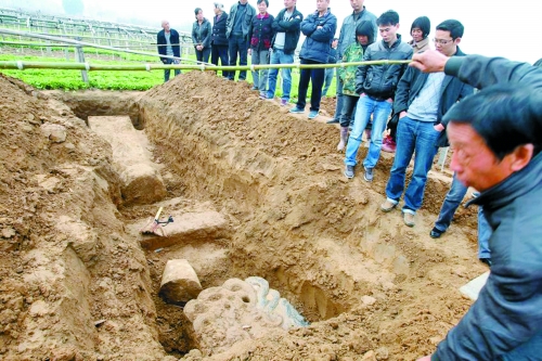 碑帽、赑屃、碑座、碑身依次排開(kāi)