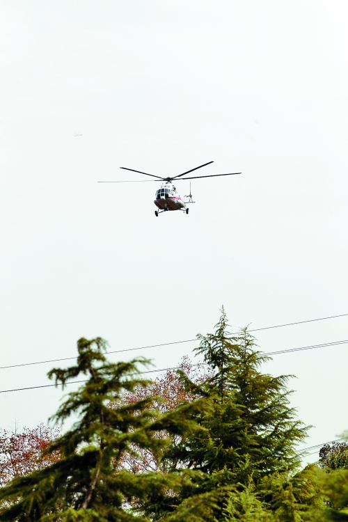 輕拋一點(diǎn)入云去，利眼“鐵鷹”掠地來