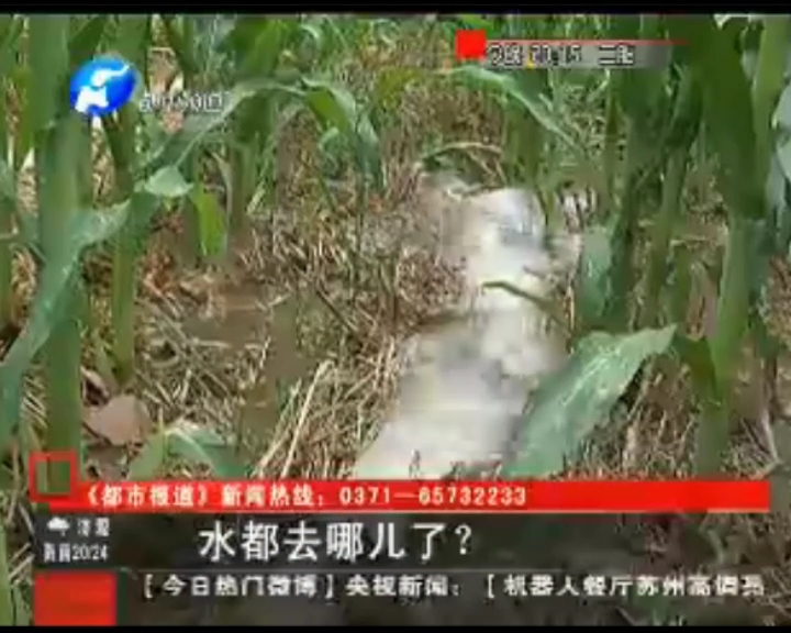 水都去哪了？