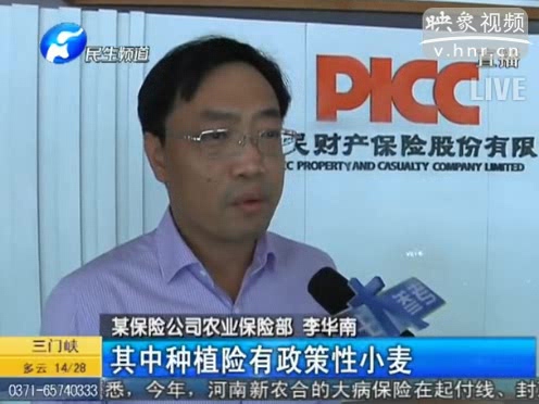 冰雹惹禍 損失能索賠嗎？