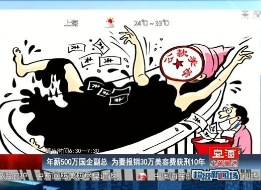 年薪500萬國(guó)企副總 為妻報(bào)銷30萬美容費(fèi)獲刑10年