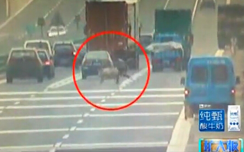 孟實(shí)話(huà)：大肥豬“越獄”