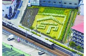 日本2005年列車事故現(xiàn)場(chǎng)附近的一塊農(nóng)田里勾勒出一個(gè)“命”字，以警世人。