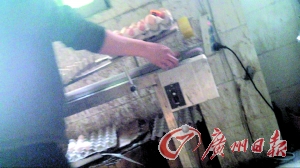 工作人員正在為“土雞蛋”噴日期碼。