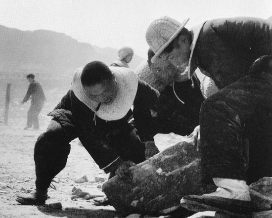 抬石頭，多少人手上都磨出了老繭